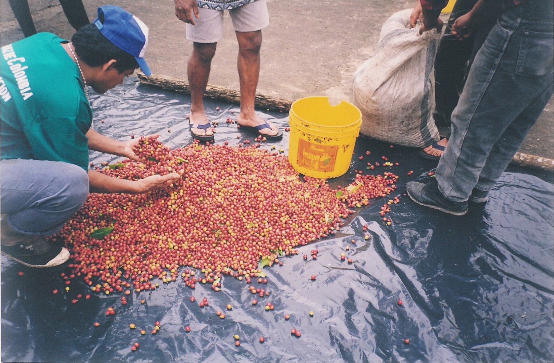 Sidra Microlot coffee profile